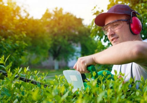 Gartenarbeiten und Heckenschnitt | Gala Ellefsen Gartenpflege